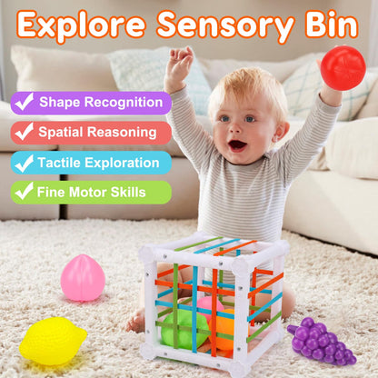 Baby Toys 6-12-18 Month Stacking Cups Blocks Shape Sorters Teething Sensory Developmental 6 7 8 9 10 Month Old Baby Toys Infant 0-6 6-9 9-12 Learning Montessori Birthday Gift for 1 Year Old Boy Girl