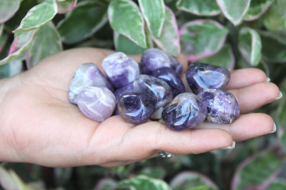 Jet Amethyst Tumbled Stone 100 Grams Natural Polished Crystal for Home Décor, Meditation, Chakra Balancing & Positive Energy