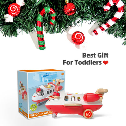 Wanborns Kids Airplane Toy with Sound and Light, Mini Airliner for 18 Months to 5 Years Old Boys Gift