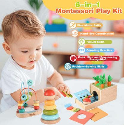Twefex Wooden Montessori Learning Toys Kit,Babies Toys Set for 1 Year Old, Sensory and Thinking Play kit for Toddlers (Boys and Girls). 4 in 1 Drop Box; Rocking Stacker; Bead Maze.