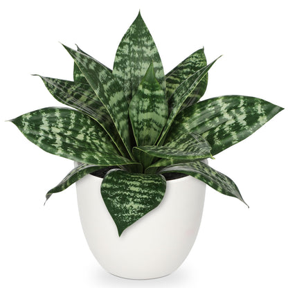 Hollyone Artificial Snake Plants 9" Faux Agave Succulent Plant Potted in White Pot Fake Sansevieria Aloe Tropical Plant for Desk Modern Office Home Bathroom Indoor Outdoor Decor