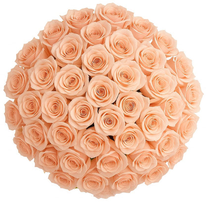 GlobalRose 75 Peach Roses Bouquet - Responsibly Sourced Roses Fresh Flowers - Hand-Picked Flowers Fresh Bouquet for Graduation, Anniversary, Birthday & Special Occasions (4 Bunches of 25 Stems)