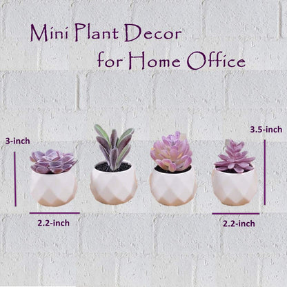 CADNLY Fake Succulent Plant Set - Artificial Desk Plants for Women Desk - Realistic Faux Succulents in Ceramic Pots - Mini Purple Decor for Bedroom Bathroom Office Shelf 4 Pack