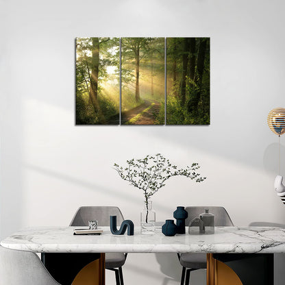 Forest Nature Wall Art Decor Sunshine Through Forest and Road Canvas Pictures Artwork 3 Panel Nuture Landscape Painting Prints for Home Living Dining Room Kitchen