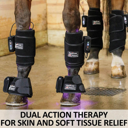 Schneiders EquiCare LED Purple Light Horse Kit | Dual-Wavelength Red & Blue LED System for Equine Wellness Support | Cordless & Rechargeable | Includes Wraps & Bell Boots