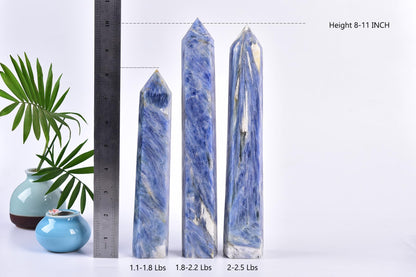 AMOYSTONE 1PC Lareg Crystal Obelisk Kyanite Natural Healing Crystal Tower Wand for Home Decor 1.8-2.2 Lbs