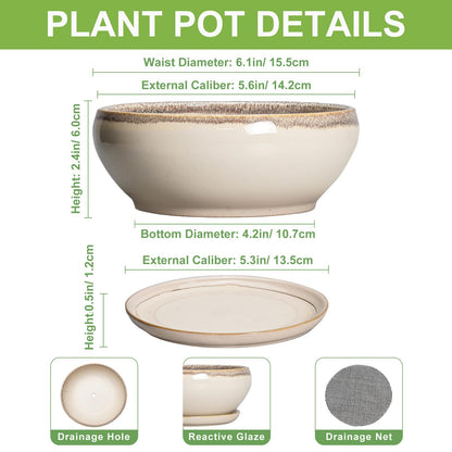 SQOWL Small Bonsai Pots - 6 Inch Ceramic Plant Pots for Succulents, Shallow Planter with Drainage Hole and Saucer, Round Planters for Indoor Outdoor Cactus Plants, House Decor, Birthday Gifts, Beige