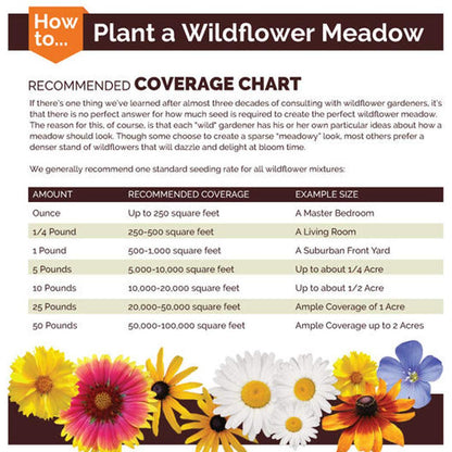 UtopiaSeeds Blue Wildflower Seed Mix - Attracts Hummingbirds and Butterflies - Easy to Grow