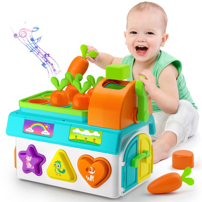 Learning Toys for 1,2 Year Old Girl Boy Gifts, Montessori Shape Sorting Toys for Toddler 1-3 Age, Musical Educational Baby Toy 12-18 Month, Christmas Birthday Gift for 1-2 Year Old Girl Boy