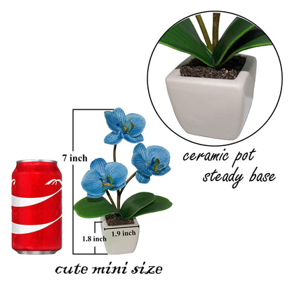 BINFEN Mini Artificial Silk Orchid Potted Flowers - 4pcs Real Touch Fake Small Plants in Ceramic Vase for Home Office Bathroom Living Room,Tiny Faux Table Shelf Decor White & Blue