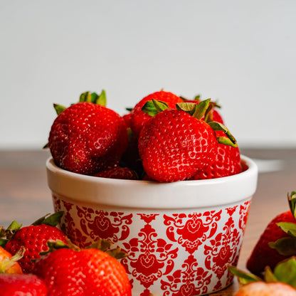 Perfect Plants Albion Everbearing Strawberry 1 Gallon | Live Fruit Bush for Bushels of Sweet Berries