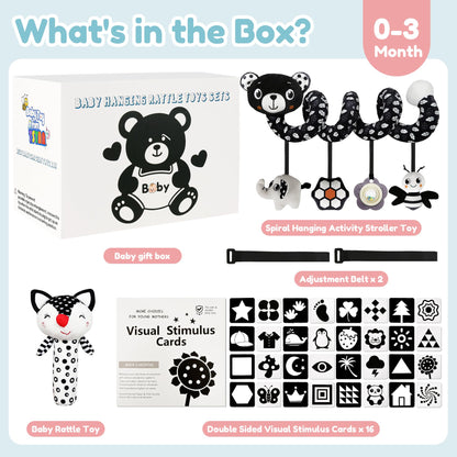 TSYAN High Contrast Baby Toys for Babies 0-6 Months, Black and White Baby Sensory Toys with Car Seat Toys,Infant Toys with Black White Cards Book, Montessori Toys for Baby Gifts