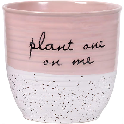 Blue Sky Clayworks Patricia 5" Flower Pot, Ceramic, 6" D x 5" H, Blush Script & Speckles