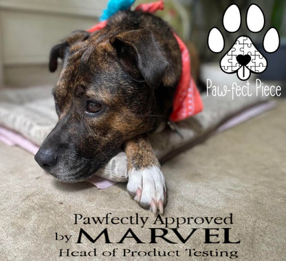 Paw-FECT Piece Soft Plush Chicken Dog Toy, with Sqeaking Sound, Durable Rope Feet, and Crinkle Wings, Emotional Support Companion Chew Toy, Great for All Breeds of Dogs
