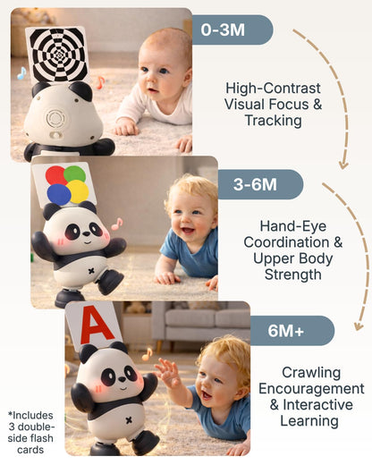 Cuddobaby Dancing Panda | 0-6M 6-12M Musical Toys, Changing Lights| Independent Tummy Time | Hands-Free High Contrast Flash Card Holder for Newborns, Crawling Encourage for Infants