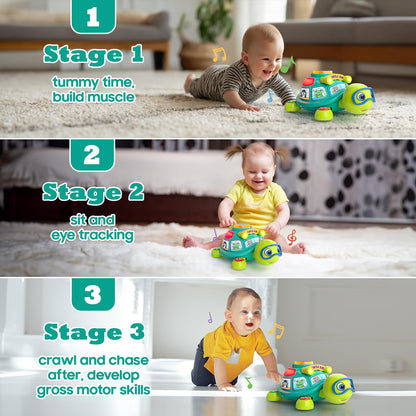 Zardali Baby Toys 6-12 Months, Musical Turtle Tummy Time Developmental Crawling Toy for 6 7 8 9 10 Months, Educational Bilingual Infant Toy 6-9-12 Months, Baby Boy Girl Birthday Gifts