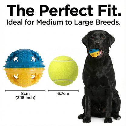 Argoswags Spiky Dog Ball with Internal Bell - Rigid TPR Durable Fetch Toy - Squeakless Rattle Sound - Hard Textured Dental Surface for Teeth Cleaning & Medium Large Breeds (3-Versions-in-1)