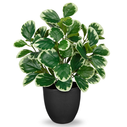 Villa Como 14.5" Artificial Plants Indoor Home Decor, Fake Potted Silk Plants for Shelves Living Room Decorative, Small Artificial Office Desk Plant in Pots, Faux Peperomia Hope Tropical House Plant