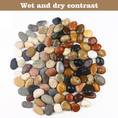 FAHAXIKI Natural River Rocks-5 lbs of Pebbles and River Stones,2-3 Inch Plant Rocks for Landscaping,Garden Paving,Crafting,Walkways,and Outdoor Decorative Stone,Mexican Beach River Rocks