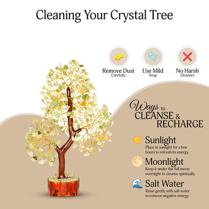YATSKIA Green Jade Tree - Crystal Tree for Positive Energy - Crystals and Stones - Crystal Decor - Positive Energy Gifts for Women - Jade Stone - Meditation Decor
