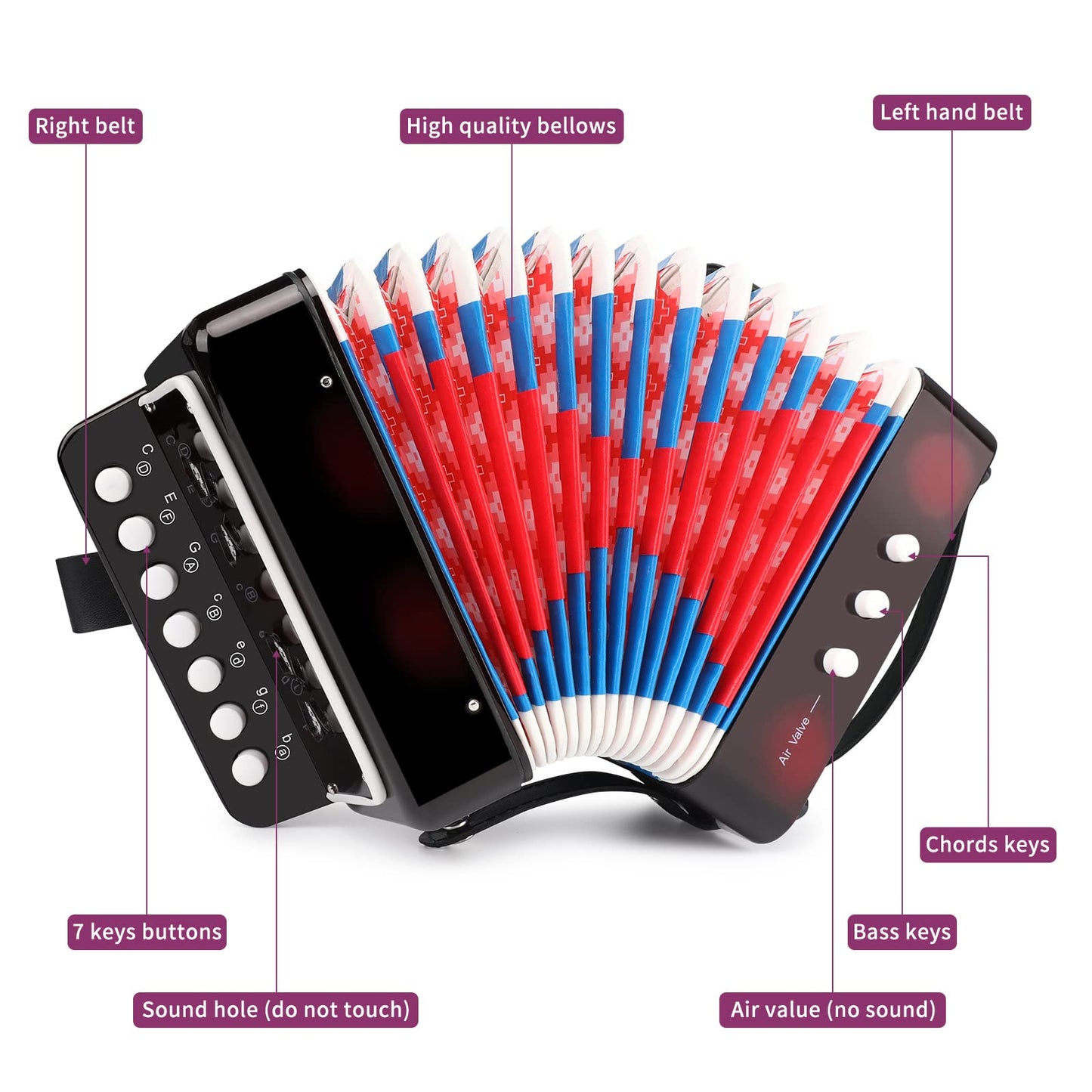 Kids Accordion, 10 Keys Control Mini Accordion Toy Gifts Easy to Play for kids Children Beginners Lightweight Musical Instrument Developmet Fit for 3 years and over(black)