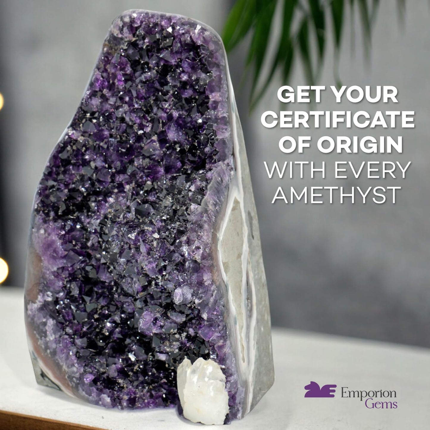 EMPORION Natural Amethyst (2 lb to 3 lb) - 4" to 7" Height - Crystal Clusters Stone from Uruguay Raw Geode Quartz - Deep Purple Color