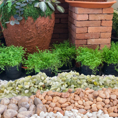 YISZM 2LB Succulent and Cactus Pebbles, 1/5 Inch Jade Natural Decorative Polished Stones, River Rocks for for Indoor Plants, Vases, Planters and Outdoor Gardening