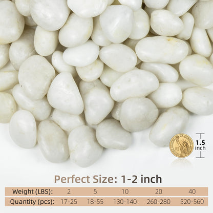 FINIKIS 2lbs White Pebbles for Indoor Plants, 1-2Inch Natural River Rocks for Aquarium, High Polished Decorative Stones for Vase Filler Fish Tank Landscaping Garden
