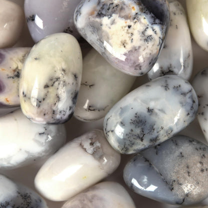 Justinstones 1/2LB White Opal Tumbled Polished Natural Crystal Healing Pocket Stones Rock Collection