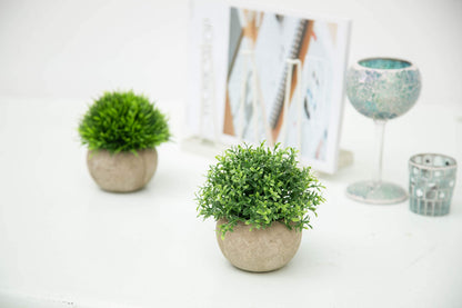 Velener 2Pcs Mini Artificial Boxwood Topiary Faux Plants Indoor- Small Fake Plants Decor Magnolia Home Office Desk Cubicle Farmhouse Kitchen Bookshelf Bedroom Bathroom Decor, Aloe Vera Zen Garden