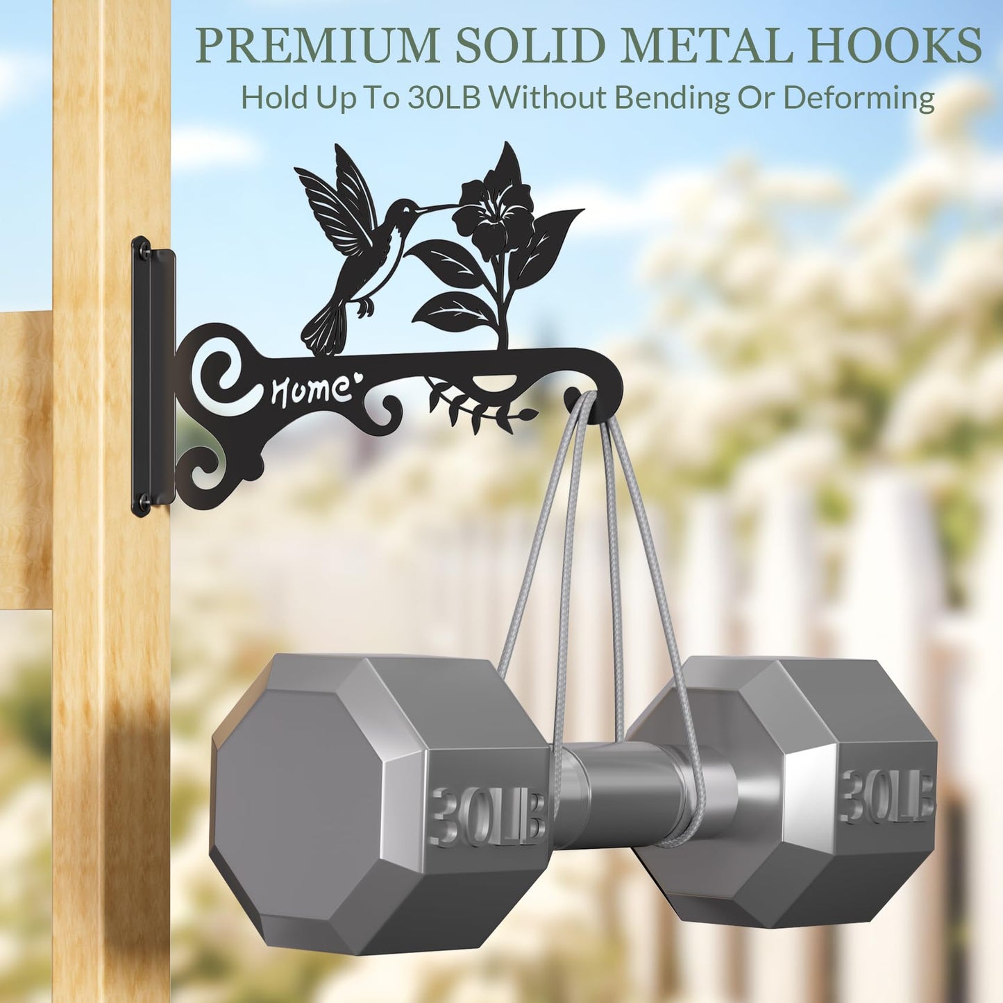 BBTFAA Metal Plant Hooks (2-Pack) - Decorative Wall Hangers with Bird Design for Indoor & Outdoor Use - Hanging Brackets for Plants, Flower Baskets, Bird Feeders, Lanterns - Patio, Garden, Home Decor