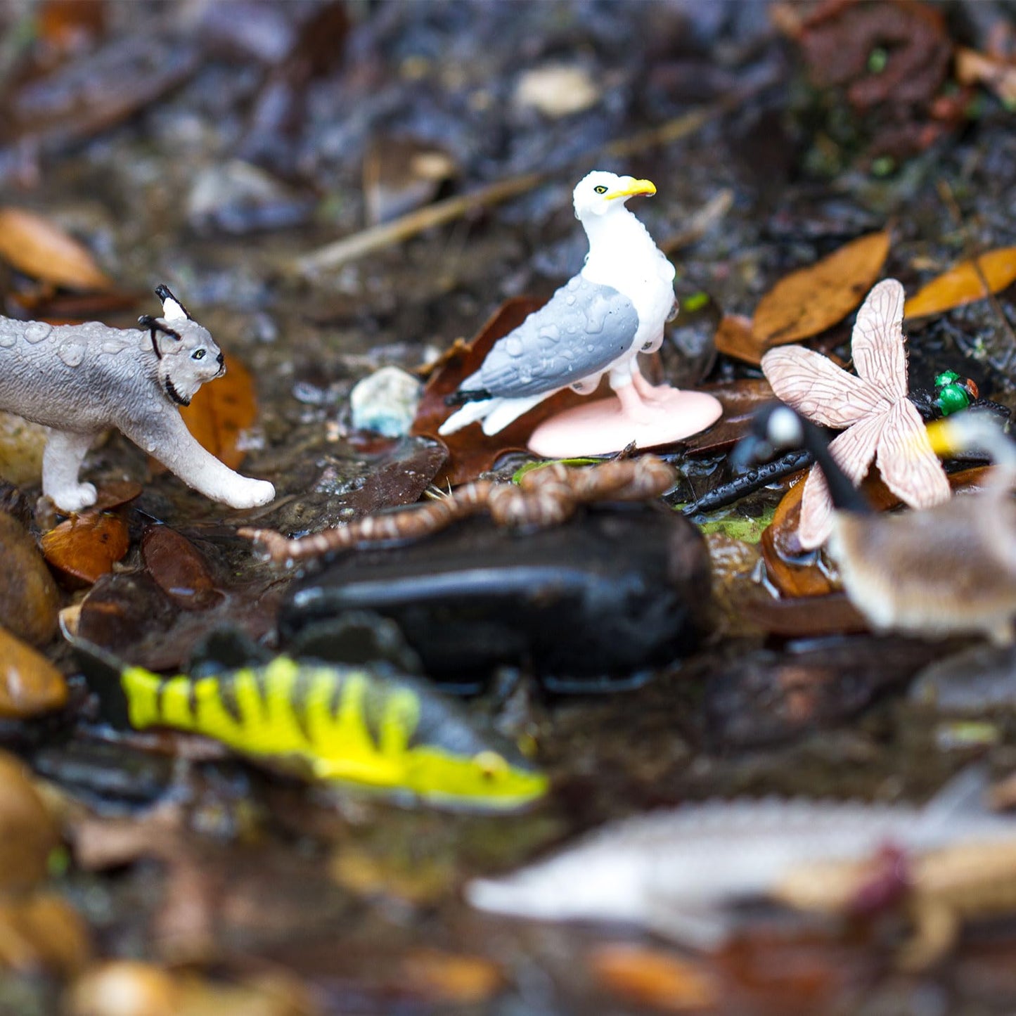 Safari Ltd. Great Lakes TOOB - Figurines of Mudpuppy, Dragonfly, Water Snake, Bat, Goose, Herring Gull, Blue Heron, Lynx, Sturgeon, Yellow Perch - Educational Toys for Boys, Girls & Kids Ages 3+