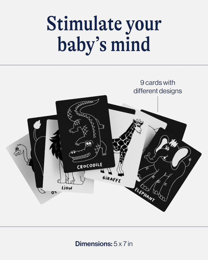 Lalo Art Cards - Set of 6 High Contrast Baby Cards for Infants - Printed with Soy-Based Ink, Lead & Phthalate-Free - Newborn Brain Development Toys - Safari Animals