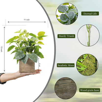 Nztze 2 Pack 12" Medium Eucalyptus Fake Plants, Artificial Plants Indoor with 4 Inch Wooden Planters, Faux Potted Plants for Home Decor, Desk, Shelves, Desktop, Coffee Table, Bedroom