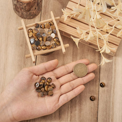 Fashewelry 50Pcs Natural Tiger Eye Cabochon Stone Half Round Beads 10mm Tiny Flat Back Gemstone Chakra Healing Crystal Cover Cabs for Jewelry Making