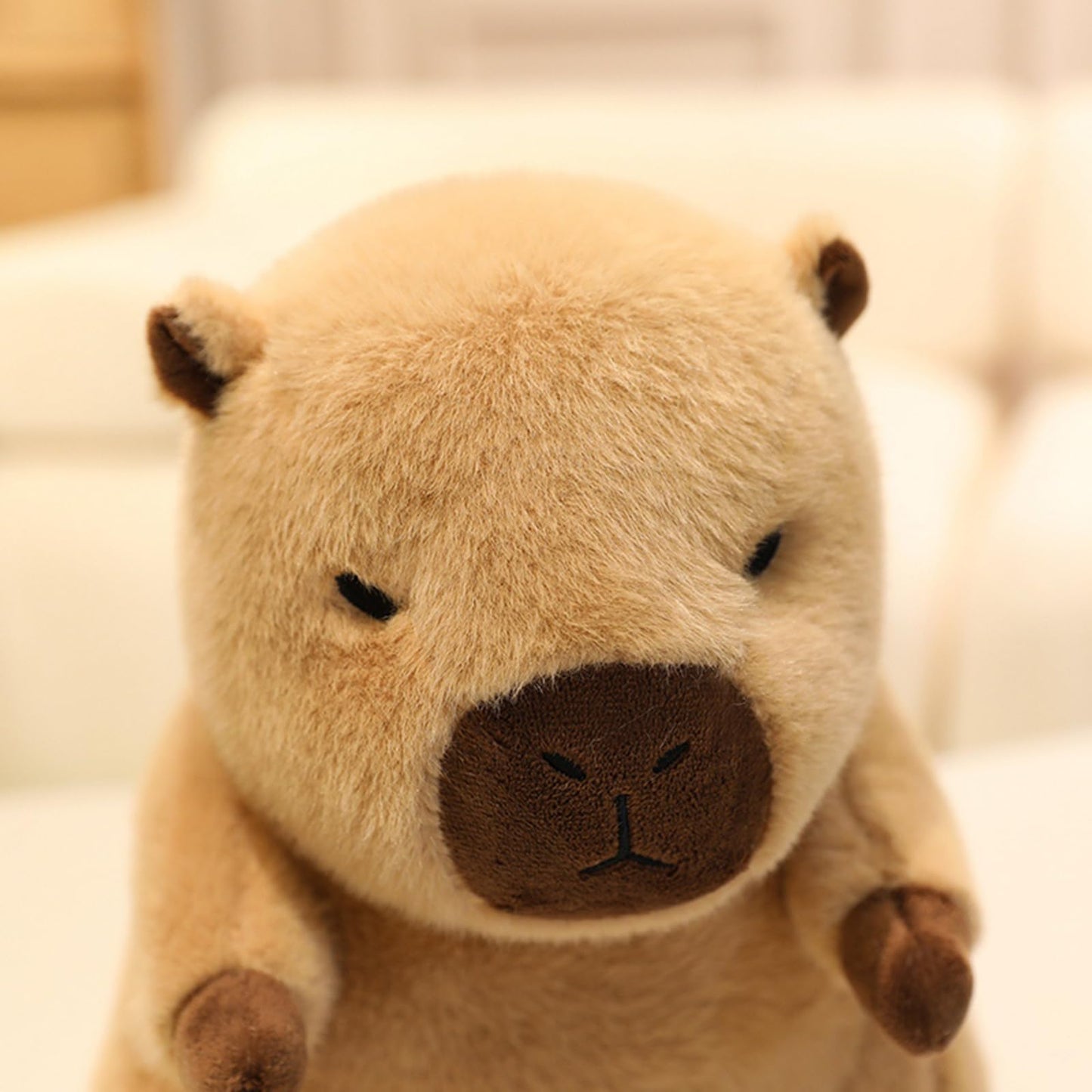 GOOC 9 Inch Soft Capybara with Removable Duck Bag Stuffed Animals Capybara Plush Toys Fluffy Plushies Fuzzy Doll Gift for Kids and Lovers in Birthday, Valentine's Day