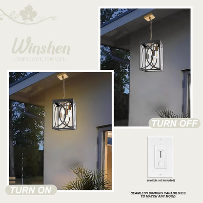WINSHEN 4-Lights Large Outdoor Pendant Light Fixture, E26 Bulb Base Porch Hanging Lighting in Black & Brushed Brass, Modern Exterior Lantern Chandelier Ceiling Mount for Patio Front Door