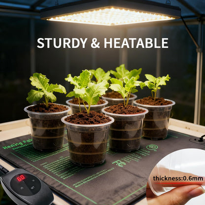 Plgardpo Clear Nursery Pots with Drainage, 5/6/7 Inch Nursery Plant Pots, Plastic Seedling Flower Pots for Indoor Plants, Transparent Planters for Indoor Plants, 15 Packs