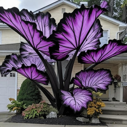 EDRHTJG Giant Leaf Foliage-Elephant Ear-Alocasia for Outdoor Garden Patio Decor Natural Vibrant Tones-Natural Privacy Screen (4)