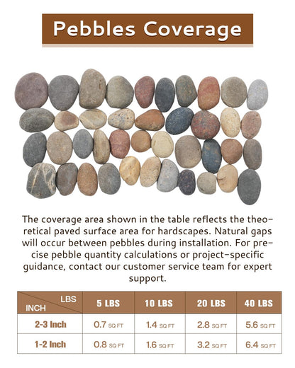 FAHAXIKI Natural River Rocks-5 lbs of Pebbles and River Stones,2-3 Inch Plant Rocks for Landscaping,Garden Paving,Crafting,Walkways,and Outdoor Decorative Stone,Mexican Beach River Rocks