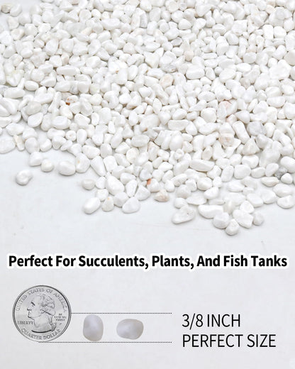 FAHAXIKI 12LB White Succulent & Cactus Gravel Pebbles - 1/4-3/8 Inch Natural Polished River Rocks, Decorative Stones for Plants, Terrariums, Vases, Aquariums & Outdoor Gardening