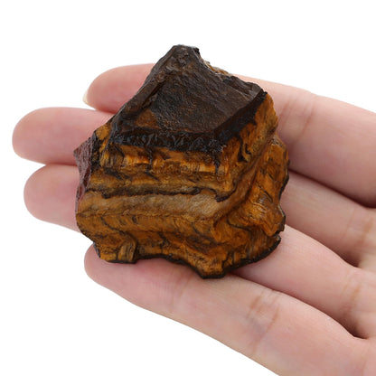 XIANNVXI Tigers Eye 1.8-2.2" Large Raw Crystals and Healing Stones Natural Rough Crystal Rocks for Decor Gifts Tumbling Cabbing Polishing Fountain Rocks 1PCS