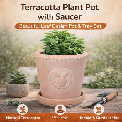 FREEMOON Color-Changing Terracotta Plant Pot with Saucer, Natural Clay Planter with Drainage Hole, Visual Watering Reminder (All-Natural), Retro Rabbit Head Pattern for Indoor/Outdoor Plants, 6 Inch