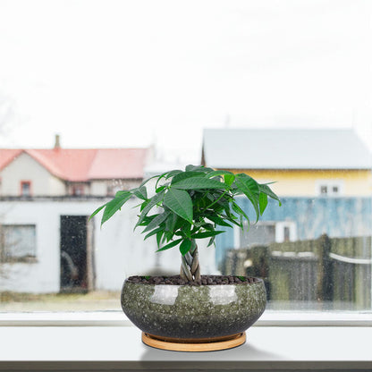 EPFamily 8 Inch Ceramic Bonsai Planter Pot, Glazed Shallow Succulent Planter with Drainage Hole and Bamboo Saucer for Indoor Plants, Brown