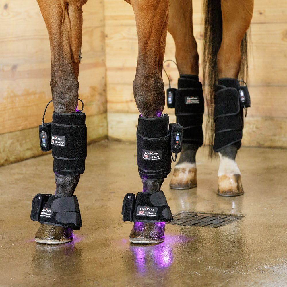 Schneiders EquiCare LED Purple Light Horse Kit | Dual-Wavelength Red & Blue LED System for Equine Wellness Support | Cordless & Rechargeable | Includes Wraps & Bell Boots