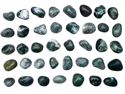 GAF TREASURES 5 Pcs Moss Agate Tumbled Stones, Polished Natural Moss Agate Gemstone, Moss Agate Healing Crystals (Moss Agate)