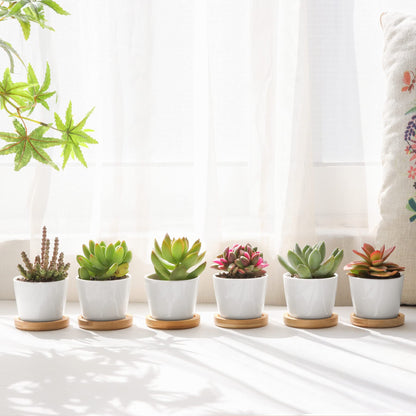 T4U 2.5 Inch Mini White Succulent Planter Pots with Bamboo Tray Round Set of 12, Tiny Ceramic Succulent Air Plant Flower Pots Cactus Faux Plants Containers, Gifts for Plant Lover, Home Office Decor