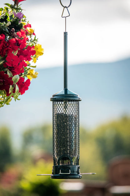 Squirrel Buster Mini Squirrel-Proof Bird Feeder for Wild Birds – 4 Metal Perches, 1 lb Seed Capacity, Chew-Proof Design, Lifetime Care, Garden Green