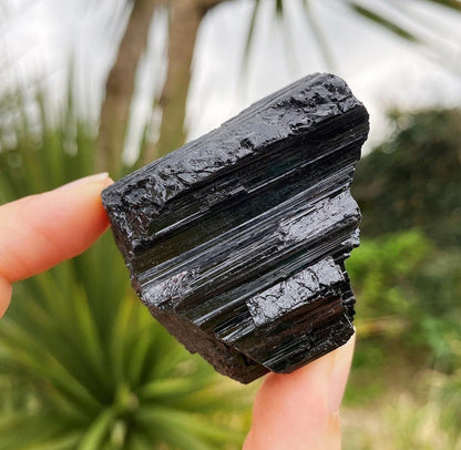 Zenkeeper 1Lb Rough Black Tourmaline Crystals Stone Large Raw Black Tourmaline Stones Bulk Natural Black Tourmaline Crystal Healing Stone for Tumbling, Polishing, Wire Wrapping, Wicca & Reiki