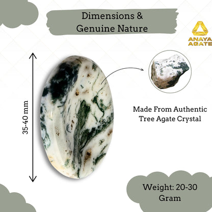 Anaya Agate Tree Agate Worry Stones Certified Crystal Thumb Worry Stone for Anguish, Relaxing and Soothing Balance Stones for Meditation, Stress Relief Crystals and Healing Stones for Men, Women